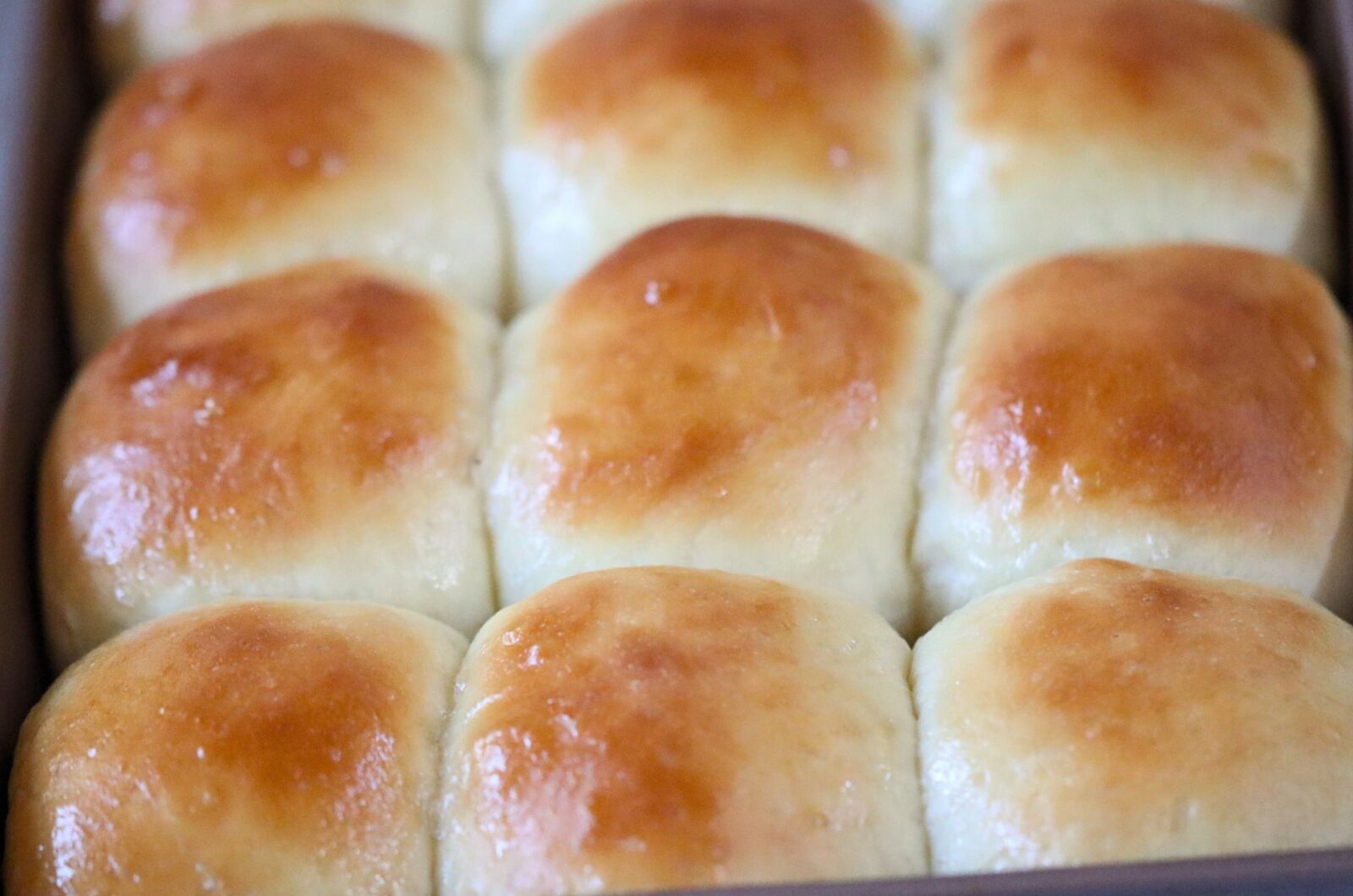 Fluffy Dinner Rolls