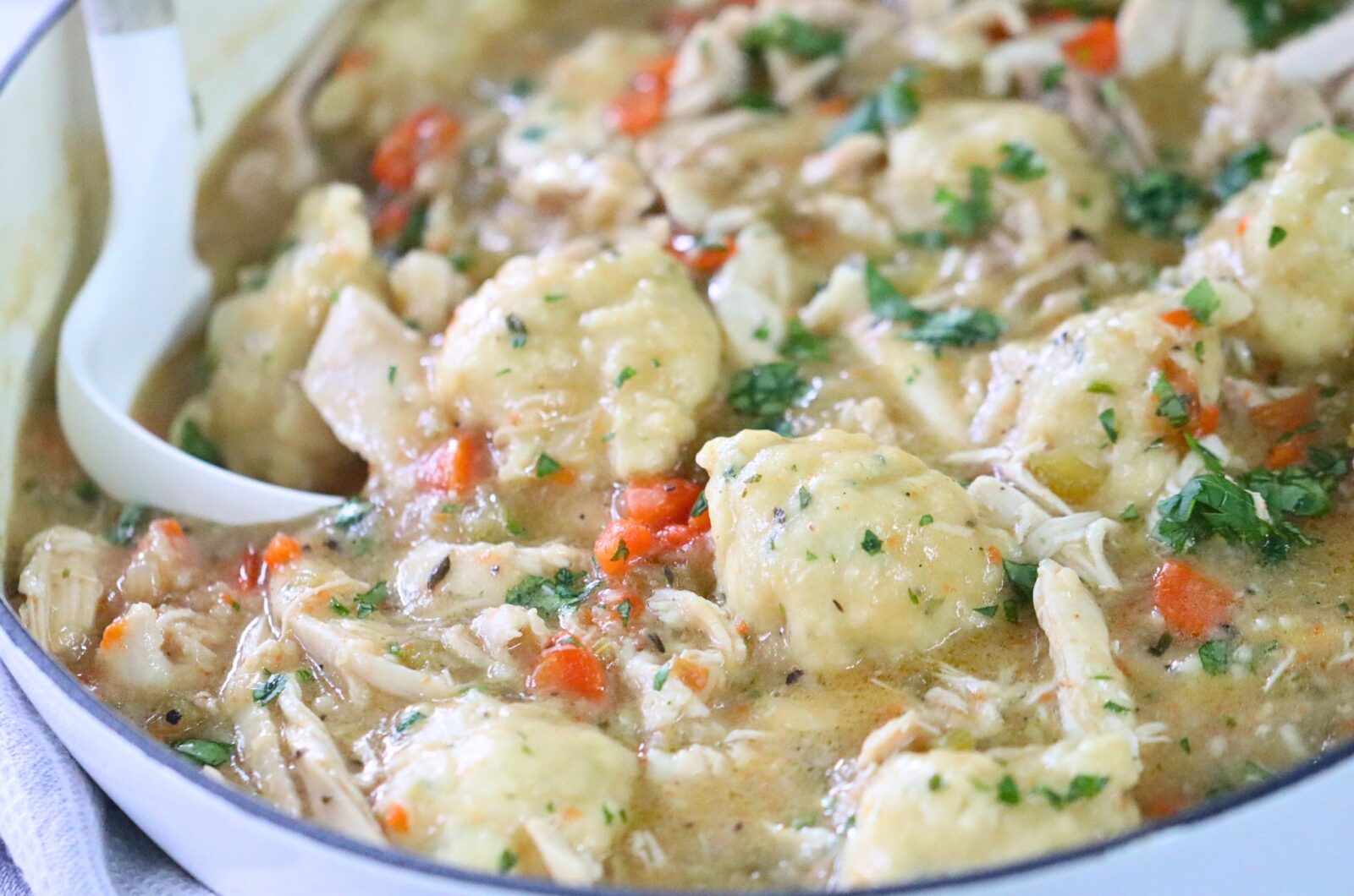 Old Fashioned Chicken and Dumplings 