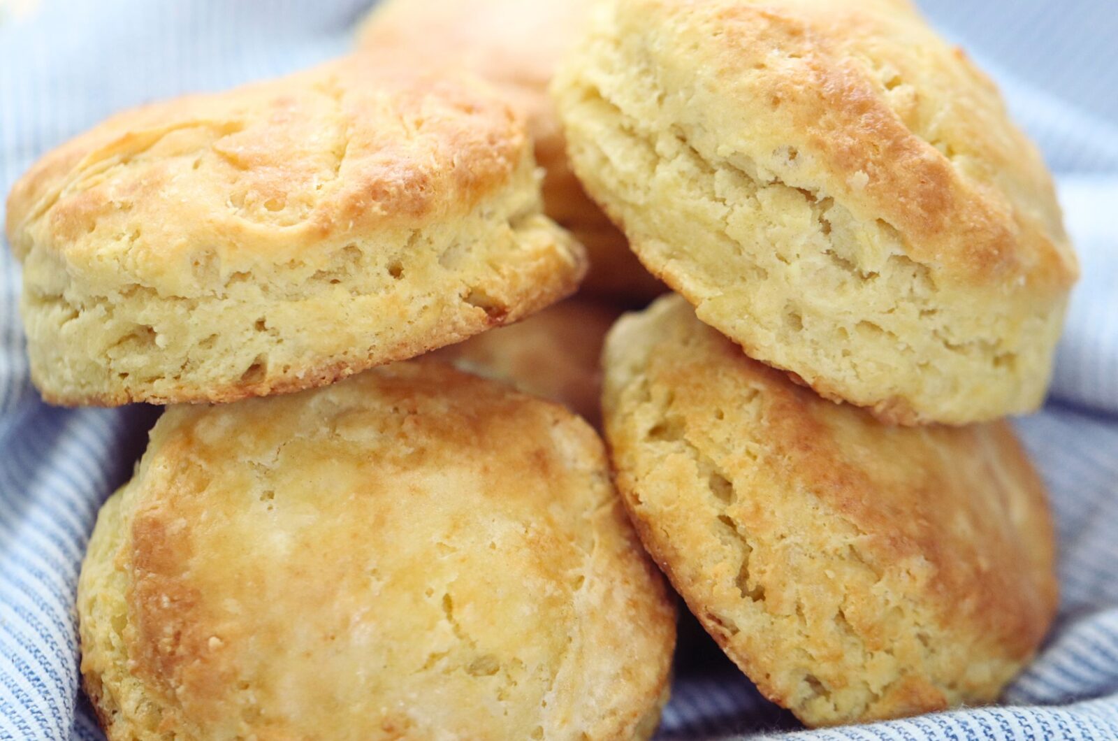 Buttermilk Biscuits